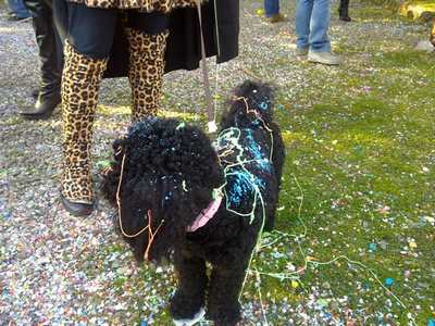 Borgo. Finalmente si sfila; le foto del carnevale