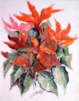 Sabato 28 apre l'esposizione della pittrice Zalaffi: i fiori simboli d'arte