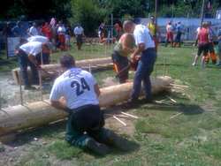 Borgo. Il bilancio della Fiera Agricola. 260 capi di bestiame esposti e alta qualità...