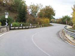 Vicchio. 'Una curva troppo pericolosa. E un albero pericolante sulla fermata dello scuolabus'. Allarme dei residenti