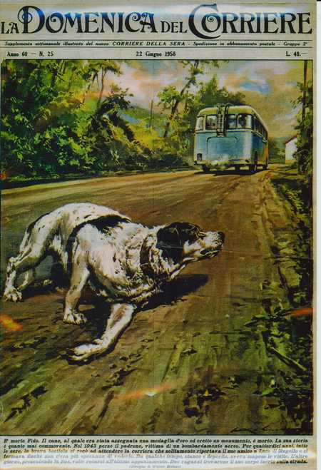 La storia di Fido su Canale 5. Info...