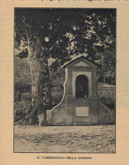 Borgo. Caduta la grande quercia al bivio per San Cresci. Le foto...