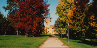 Borgo. Storie della prima guerra mondiale e di un prigioniero di guerra