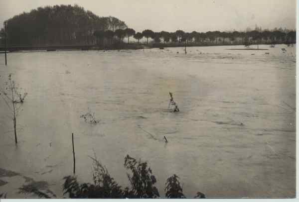 Quattro novembre '66. Il Mugello e l'alluvione di Firenze, foto e ricordi...