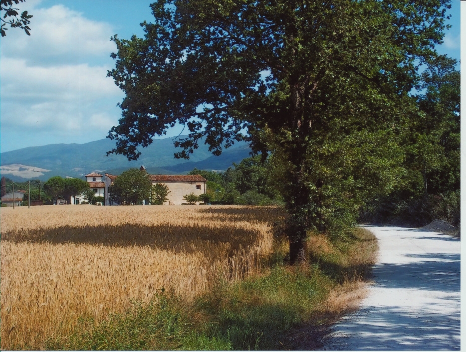 OK!Mugello. Risolto il foto-indovinello pasquale. Soluzione..