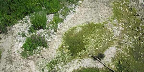 Carza in secca? Arriva la polizia provinciale