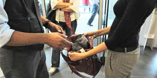 Ladro 2.0 all'Outlet. Disattivava le placche antitaccheggio