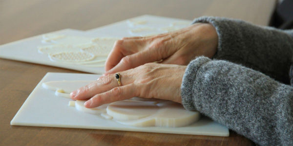 Plastico a 3D del Mugello per i non vedenti. Info...