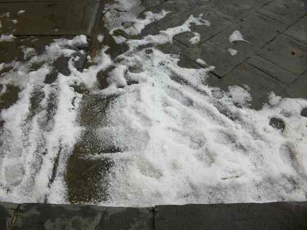 Bomba d'acqua su Firenze. Foto e cronaca...
