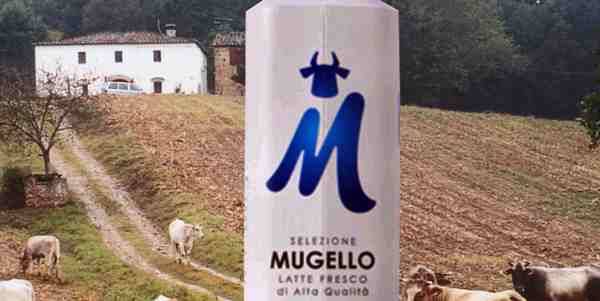 Mukki. Il Palagiaccio capofila di una cordata mugellana?