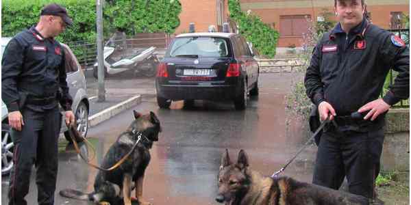 Retata antidroga a Pontassieve. I dettagli...