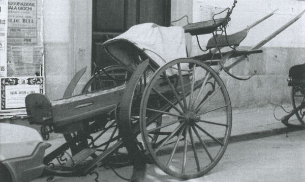 La festa della misericordia quest’anno al ss. Crocifisso