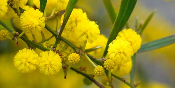 Giorno & Notte. Festa della donna e fine settimana in Mugello