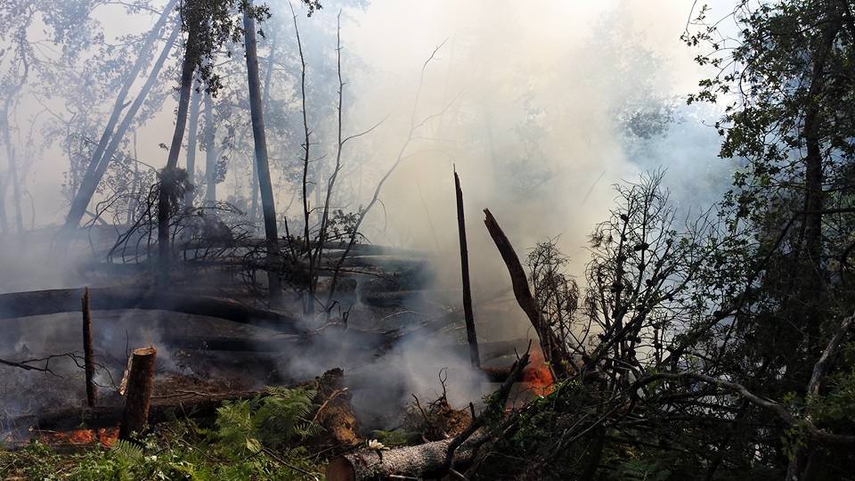 Incendi: giornata di fuoco in Mugello e Fiesole. Il video