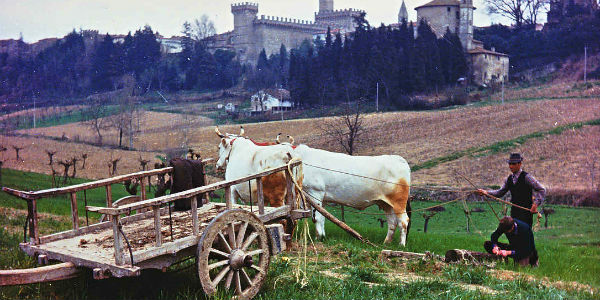 Domenica la Fiera dei Poggi a San Godenzo. Salviamo l’agricoltura