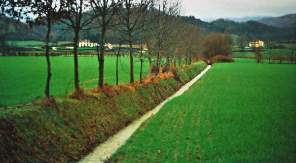 Ciclabile Borgo Larciano. Breve storia del Formicone