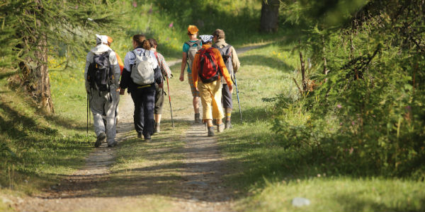 Giornata di manutenzione dei sentieri a Londa