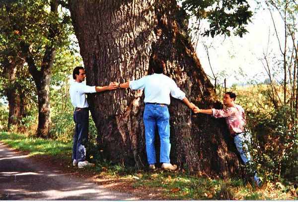 Senni. La grande querce nel ricordo (e nelle foto originali) di Aldo Giovannini