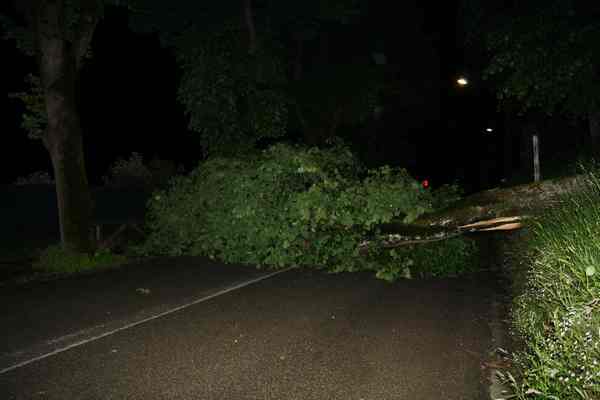 Alberi caduti, chiusa la Borgo Luco. Traliccio cade a Sagginale