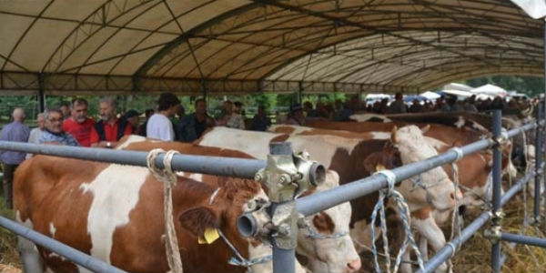 Fiera agricola e bambini? Animalisti sul piede di guerra