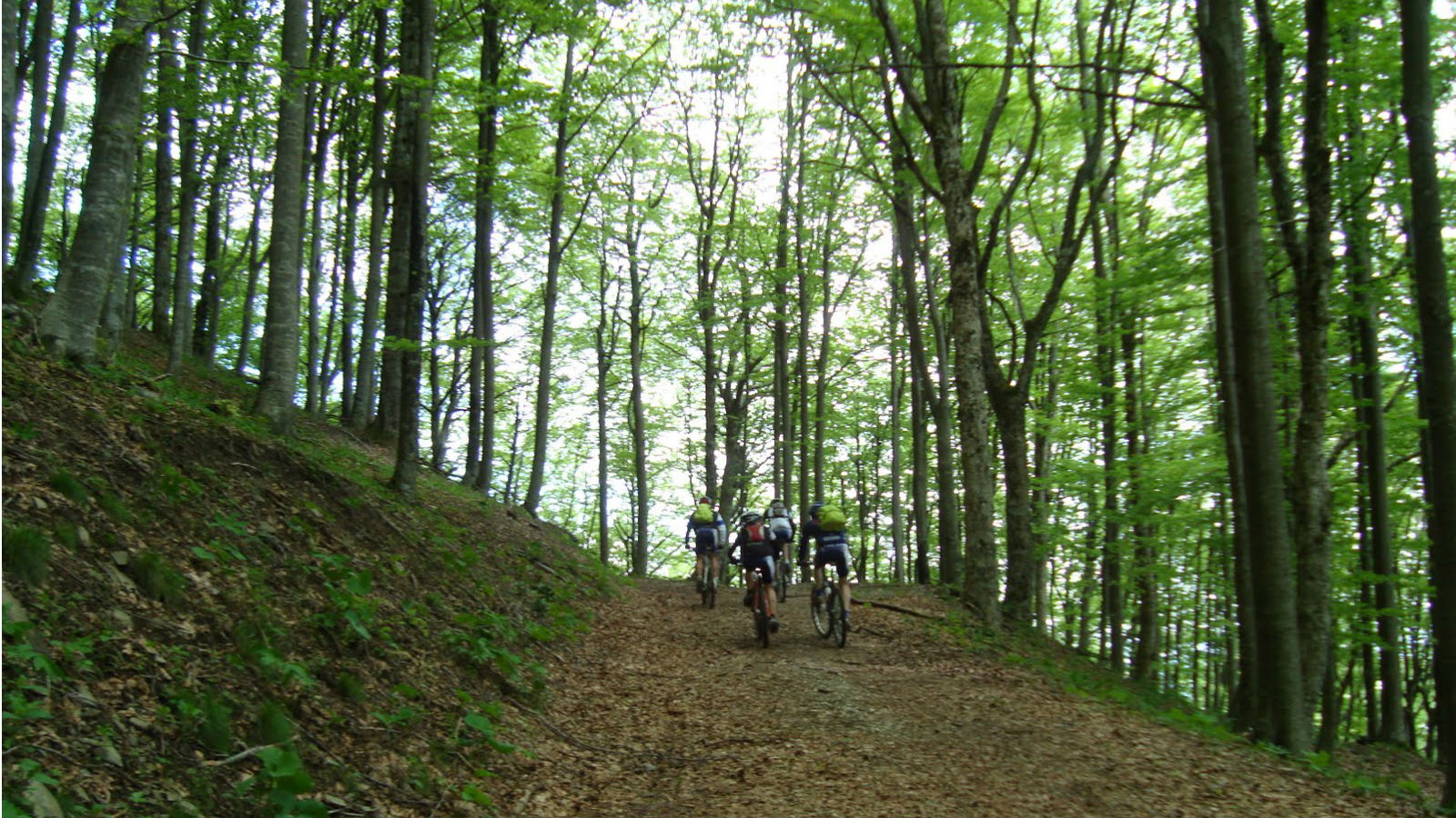 Mountain bike e Parco del Casentino. Novità e possibilità