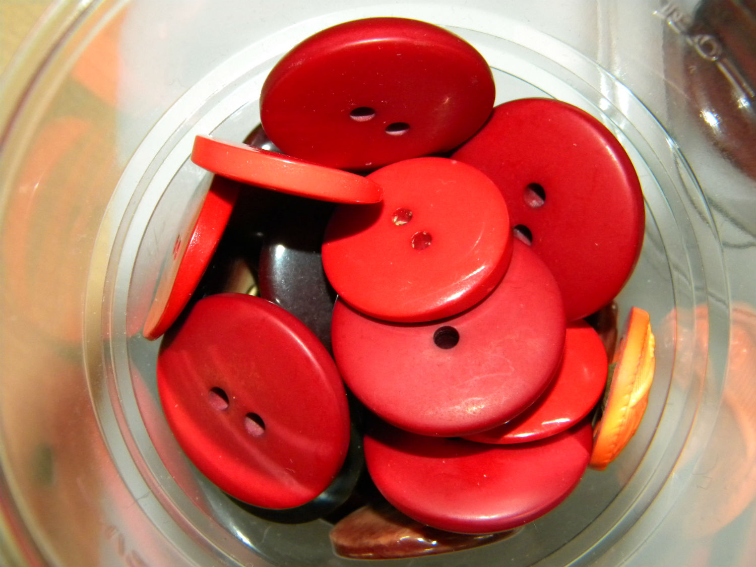 Via alla nuova serie di incontri per il Caffè Maglia a Borgo