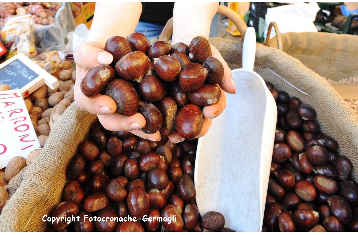 Marradi. Sagra delle Castagne alla 55esima edizione, le domeniche di ottobre