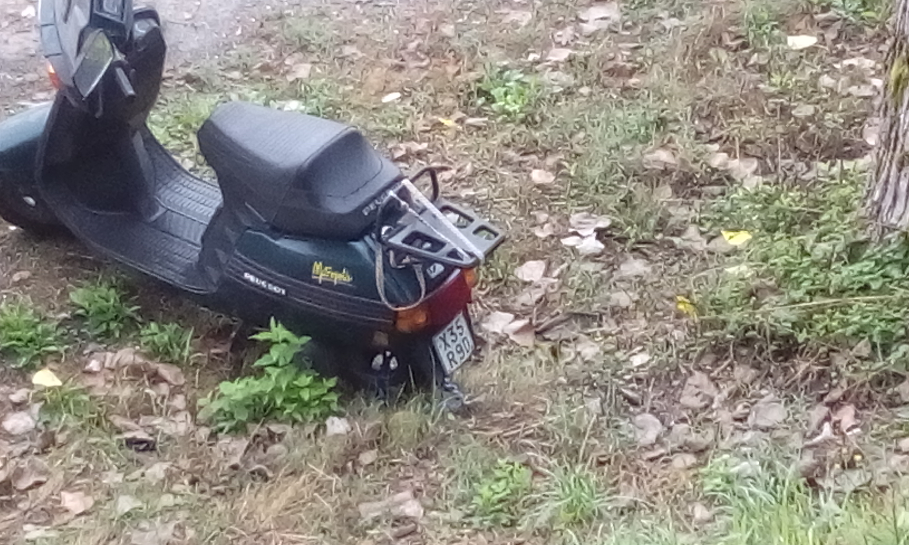 Quel motorino abbandonato da mesi. Foto del giorno