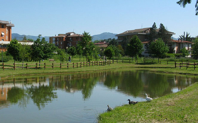 Parco della Misericordia. Appassionata lettera di Umberto Banchi in difesa del nome