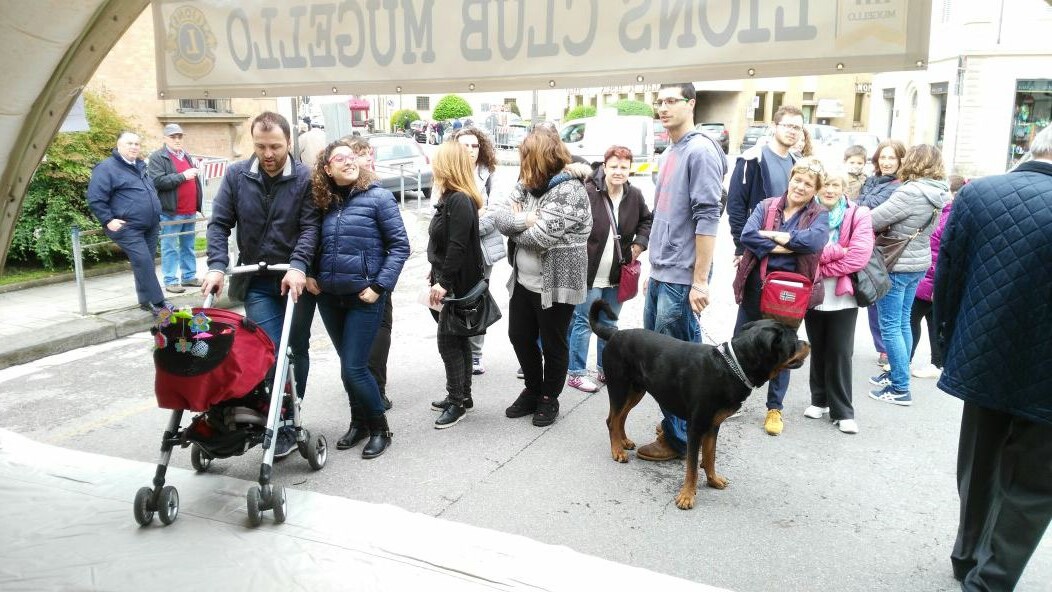 Borgo. Ottima affluenza per  medici in piazza  nonostante il tempo