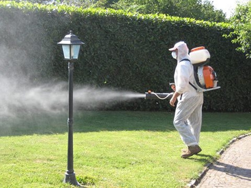 Zanzare. Gli interventi nel comune di Scarperia e San Piero