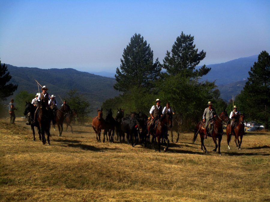 L’antica fiera dei Poggi a San Godenzo. Una festa nella festa