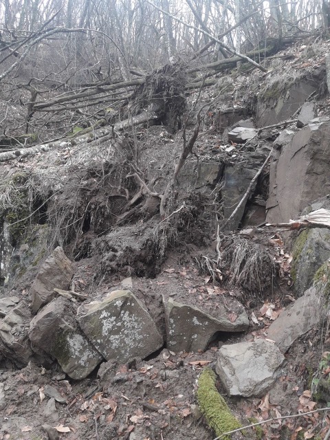 sentieri danneggiati 4.jpg