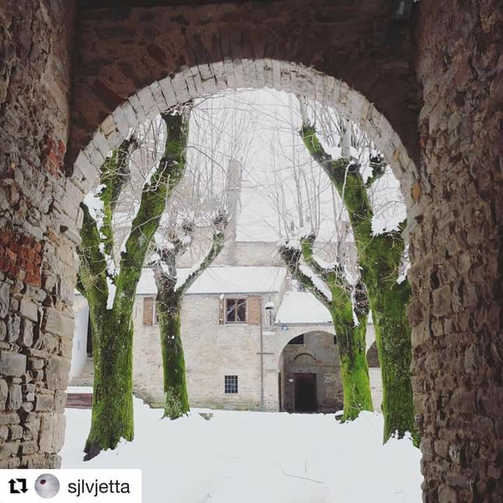 Tiziana Calamai moscheta