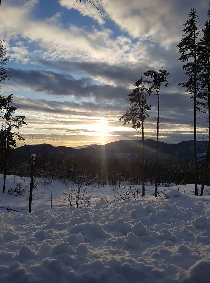 Matteo Cataldo, La Futa