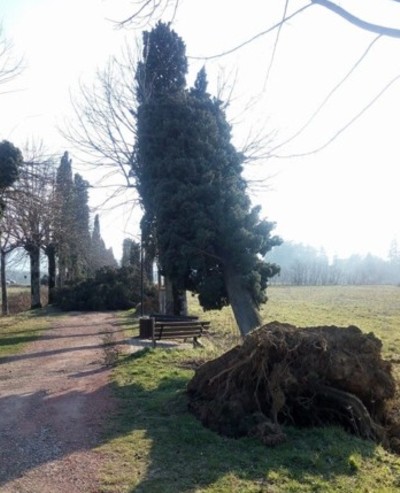 mugello-batte-vento-13