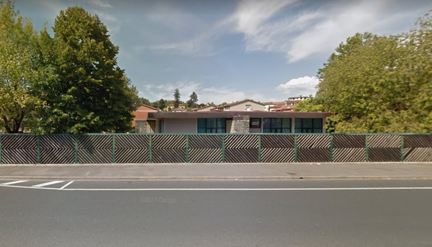 Curiosità: a Borgo la sezione 7 (Viale della Resistenza) batte anche Razzuolo per affluenza