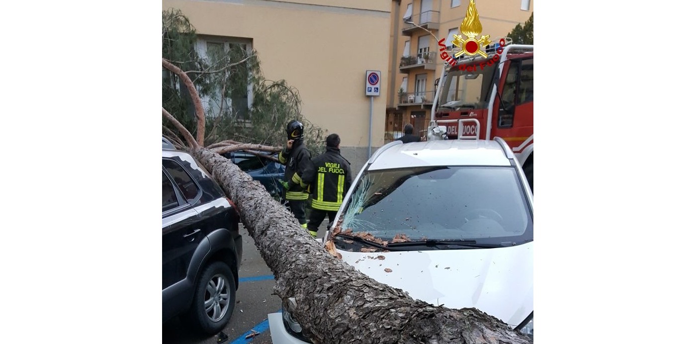 Albero cade sulle auto in sosta. Intervento dei pompieri a Pontassieve