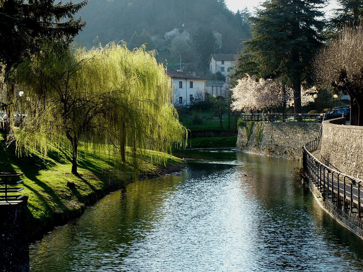 Palazzuolo. La lettrice replica: Lettera non anonima, ma protocollata in Comune