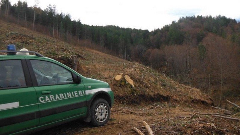Taglio abusivo (e irregolare) del bosco. Due denunciati a Vicchio