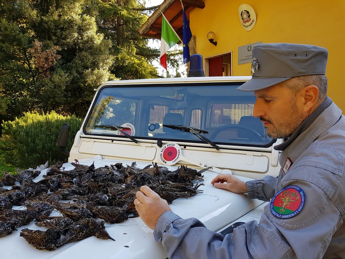 Caccia. Controlli e sanzioni, anche in Alto Mugello