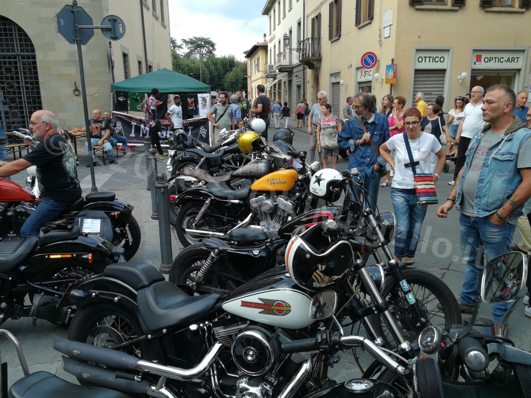 harley-borgo_3