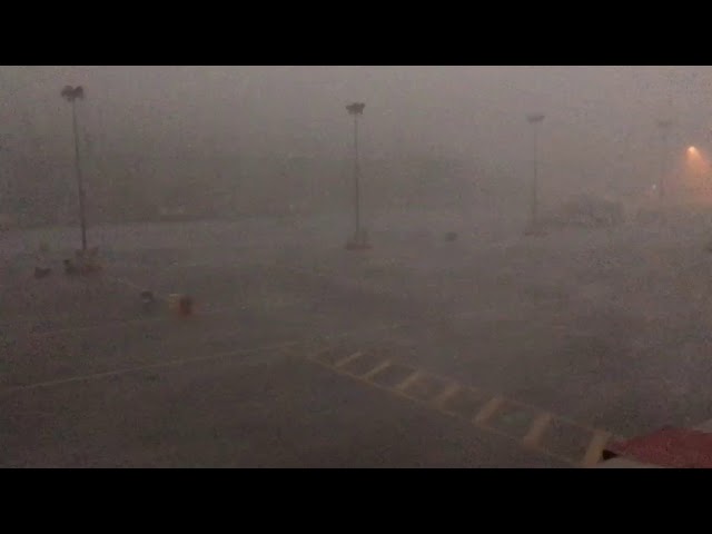 Il vento corre in Autodromo. Video - curiosità