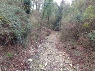 Lettori reporter. Dalla sala d'attesa ai cassonetti, le vostre segnalazioni