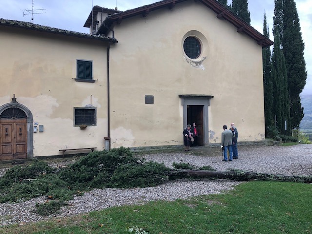 A Vespignano caduto il secolare cipresso di Giosuè Carducci