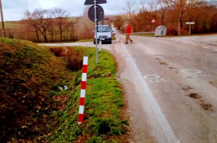 Morì investita a Senni. I legali: Responsabilità della 22enne automobilista