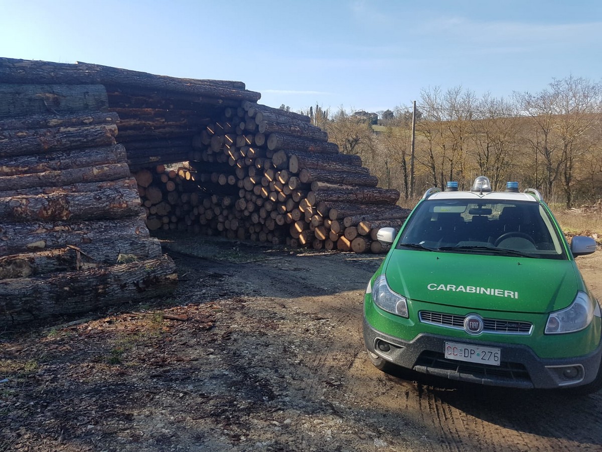 Taglio di bosco irregolare zona S. Cresci. Una denuncia e 28mila euro di sanzioni