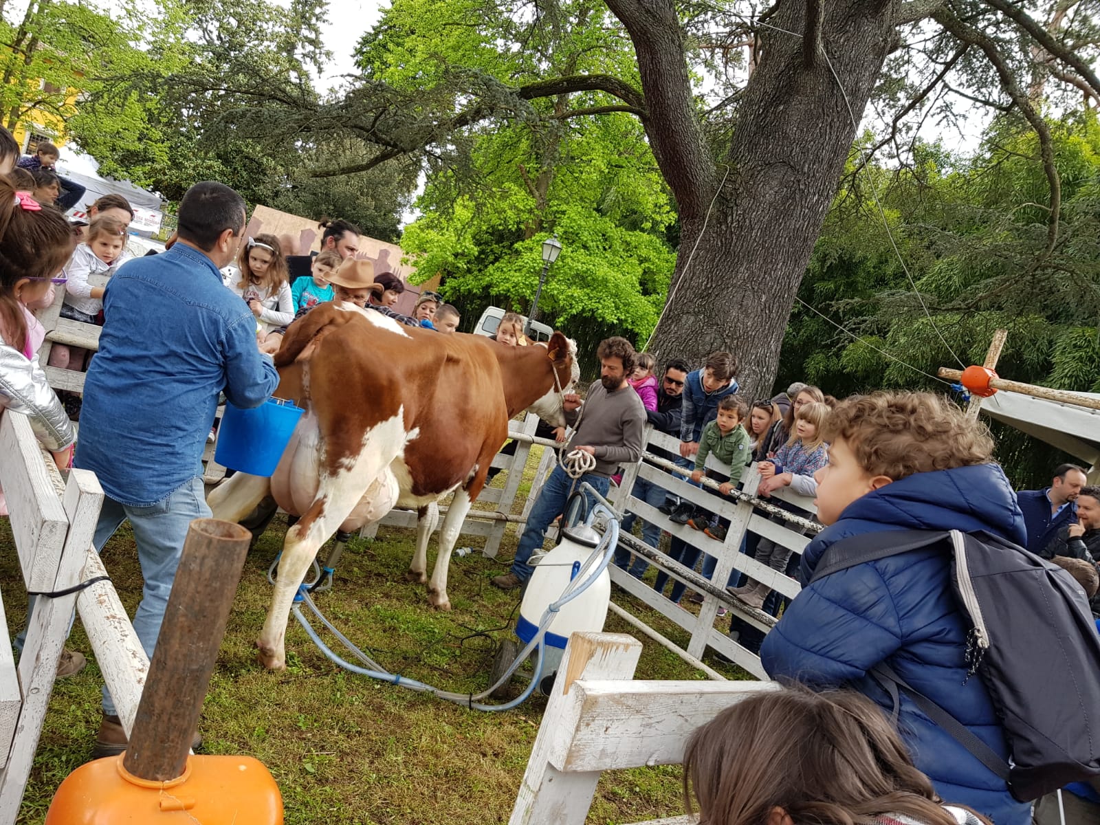 mugello da fiaba 2019 1305 (2)
