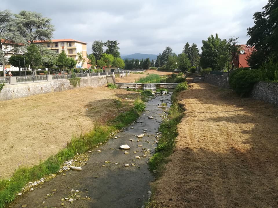 Bonifica. Lavori di sfalcio vegetazione lungo Sieve e torrenti