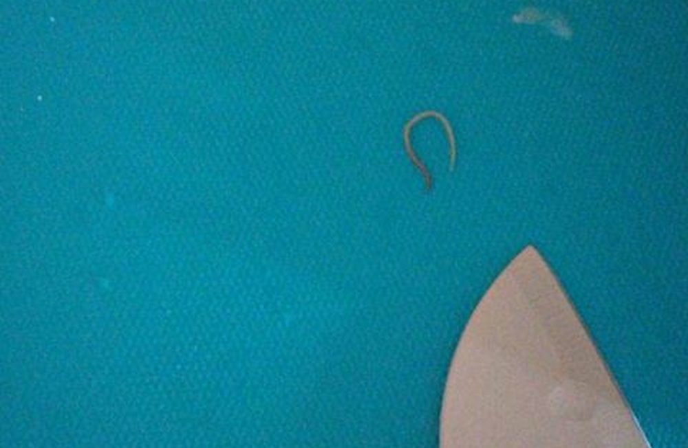 Sushi fai da te? Dalla disavventura di una lettrice importanti consigli